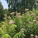 Haus Stadlau * Klaffer am Hochficht