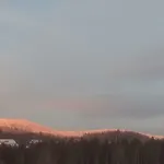 Haus Stadlau Apartment *