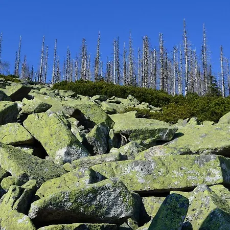 Haus Stadlau * Klaffer am Hochficht