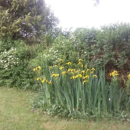 Apartment Haus Stadlau Klaffer am Hochficht