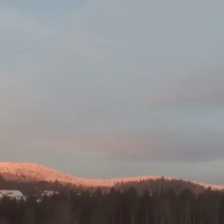 Haus Stadlau Apartment *