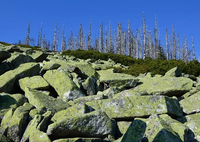 Haus Stadlau * Klaffer am Hochficht