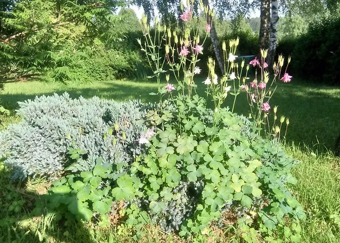 Apartmán Haus Stadlau