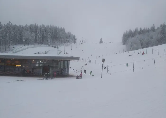 Daire Haus Stadlau Klaffer am Hochficht