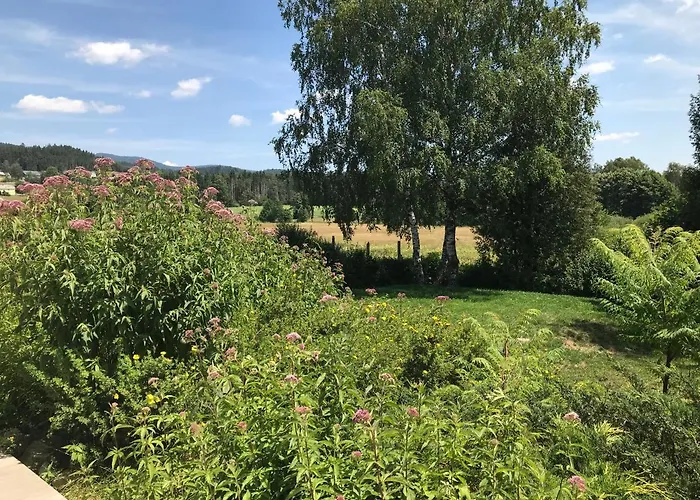 Haus Stadlau Apartmán Klaffer am Hochficht