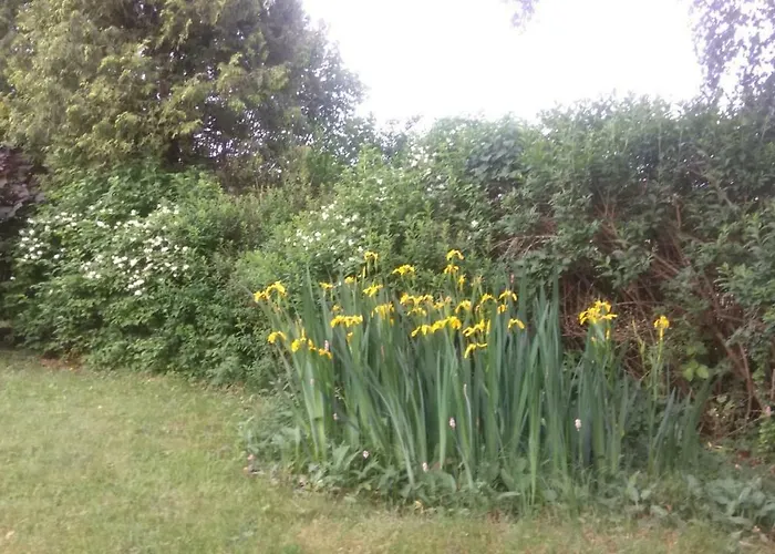 公寓 Haus Stadlau 霍赫菲希特山麓克拉弗尔