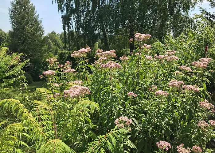 Haus Stadlau * クラファー・アム・ホッホフィヒト