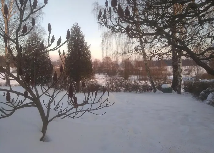 Haus Stadlau 公寓 *